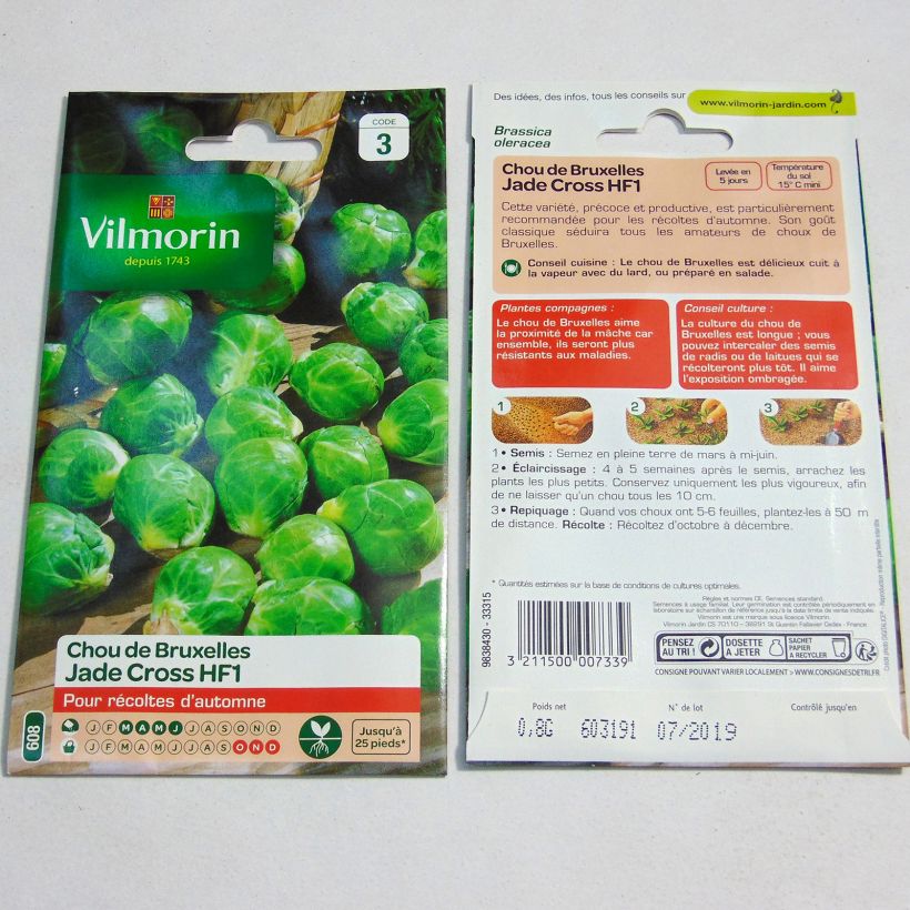 Exemplo de amostra de Chou de Bruxelles Jade Cross F1 - Vilmorin per pack of 325 seeds (0.8g) tal como entregue