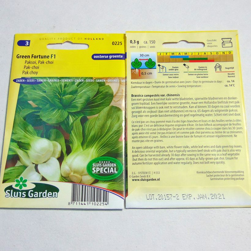 Exemplo de amostra de Chou de Chine Pak Choi Green Fortune F1 - Brassica campestris per pack of 150 seeds tal como entregue