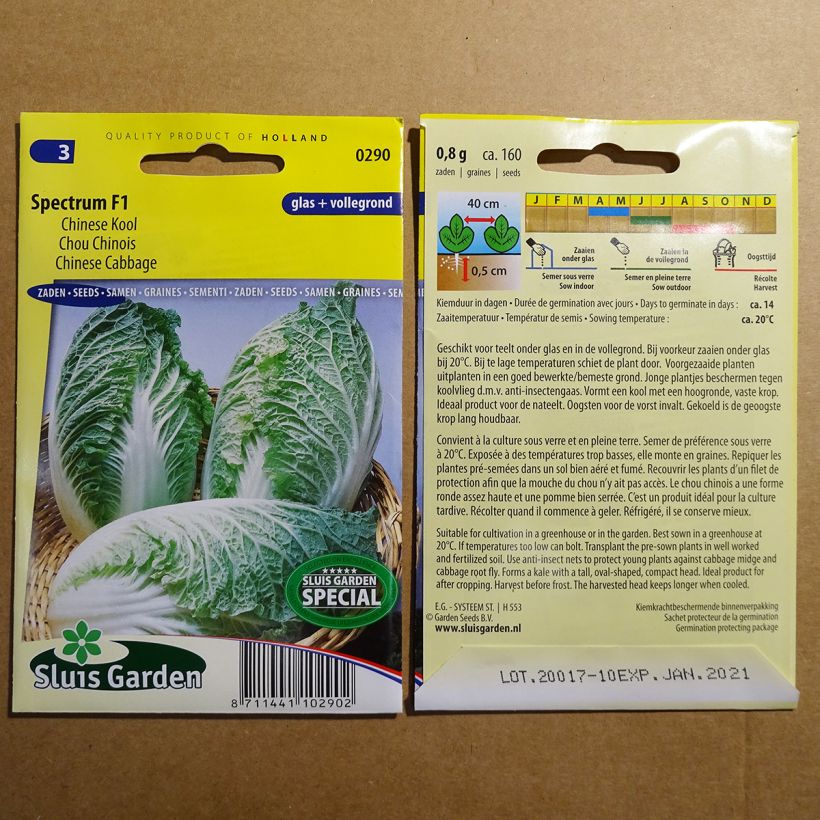 Exemplo de amostra de Chou de Chine Pe Tsai Spectrum F1 die Tüte mit 160 Samen tal como entregue