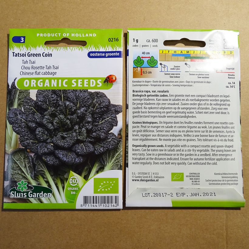 Exemplo de amostra de Chou de Chine Tatsoi Green Coin Bio per pack of 600 seeds (1g) tal como entregue