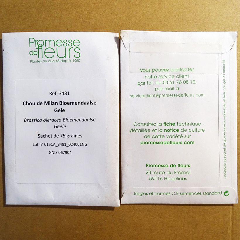 Exemplo de amostra de Chou de Milan Bloemendaalse Gele  die Tüte mit 75 Samen tal como entregue