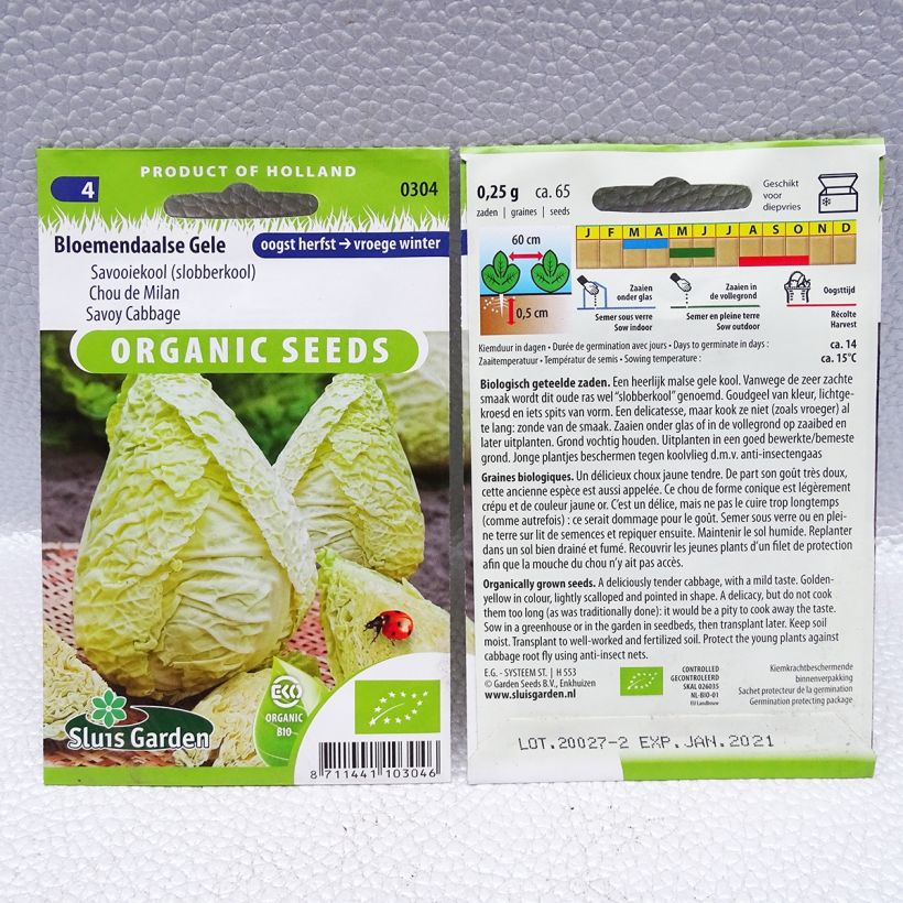 Exemplo de amostra de Chou de Milan Bloemendaalse Gele Bio per pack of 65 seeds (0,25g) tal como entregue