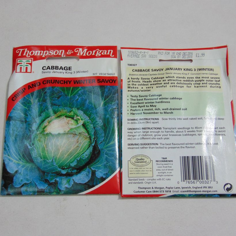 Exemplo de amostra de Chou de Milan January King 3 die Tüte mit 500 Samen tal como entregue