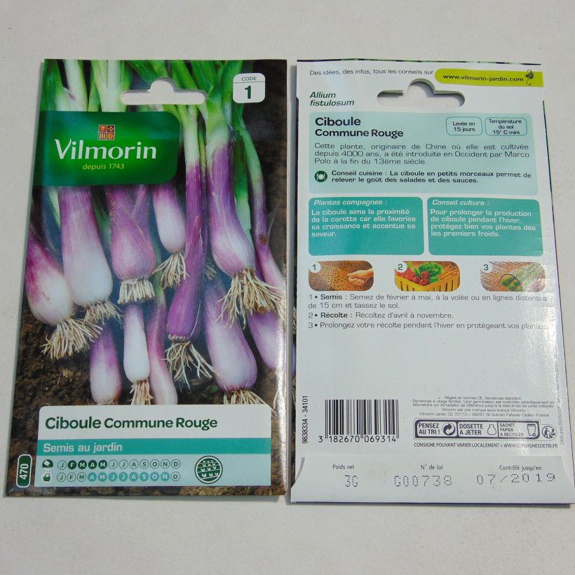 Exemplo de amostra de Ciboule commune rouge - Vilmorin die Tüte mit 1400 Samen (3g) tal como entregue