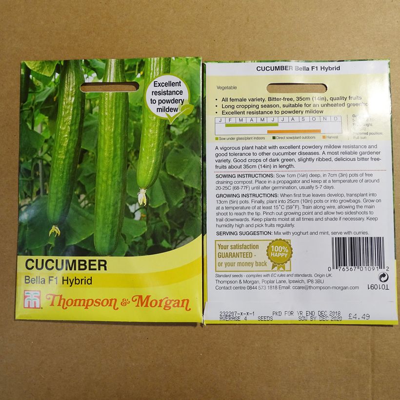 Exemplo de amostra de Concombre Bella F1 - Cucumis sativus per pack of 4 seeds tal como entregue