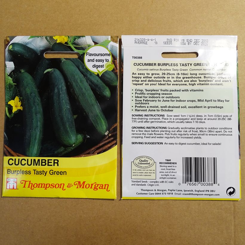 Exemplo de amostra de Concombre Burpless Tasty Green - Cucumis sativus per pack of 10 seeds tal como entregue