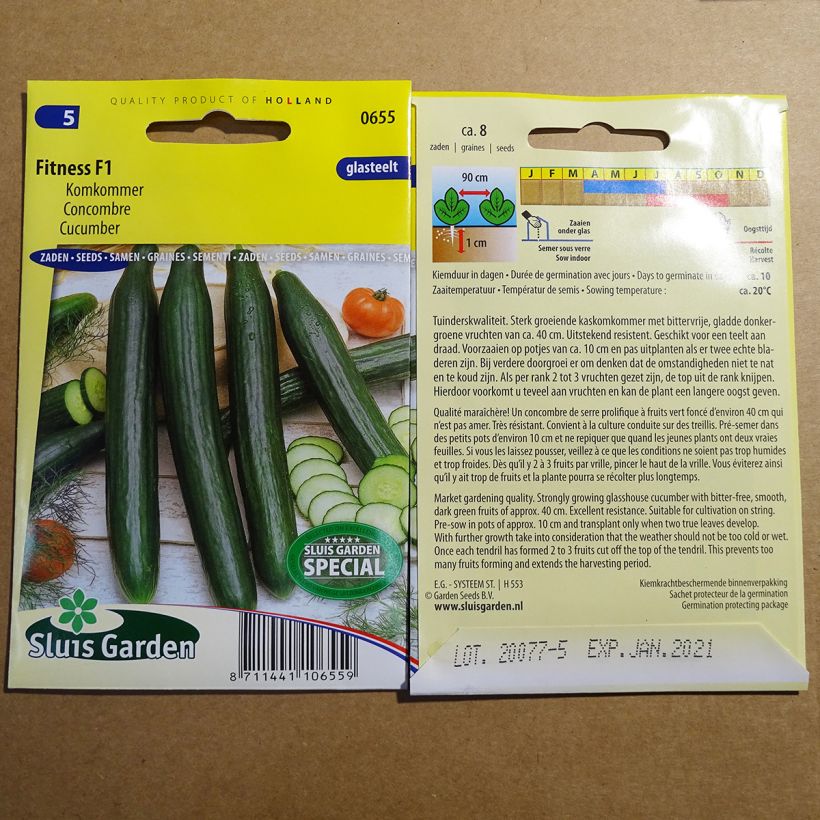 Exemplo de amostra de Concombre Fitness F1 - Cucumis sativus per pack of 8 seeds tal como entregue