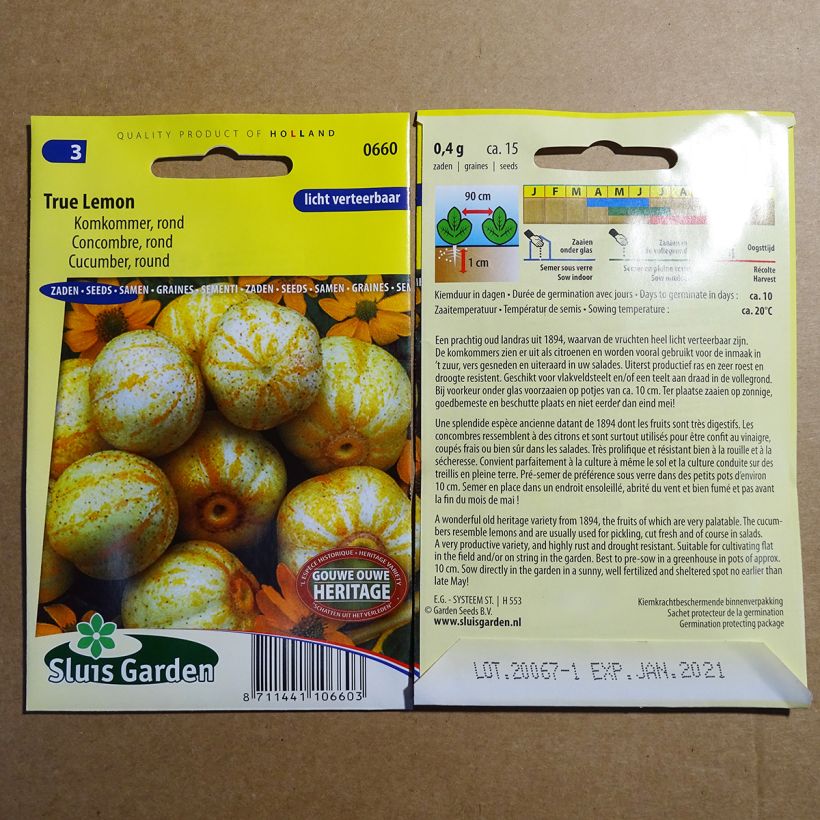 Exemplo de amostra de Concombre True Lemon per pack of 15 seeds (0.4g) tal como entregue
