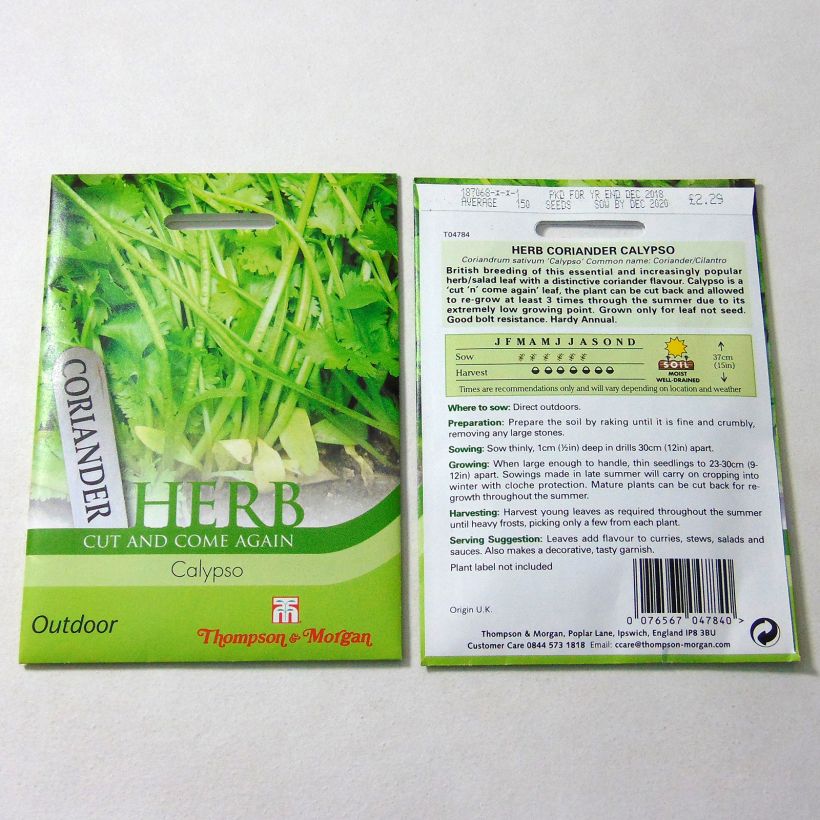 Exemplo de amostra de Coriandre Calypso per pack of 150 seeds tal como entregue