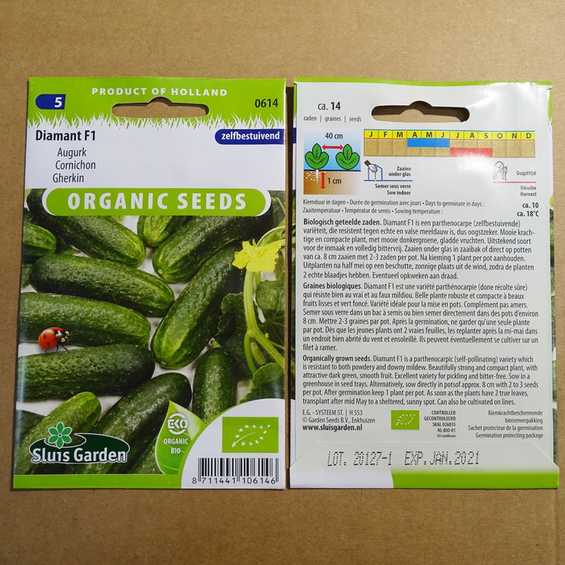 Exemplo de amostra de Cornichon Diamant F1 Bio o saco de 12 sementes aproximadamente tal como entregue