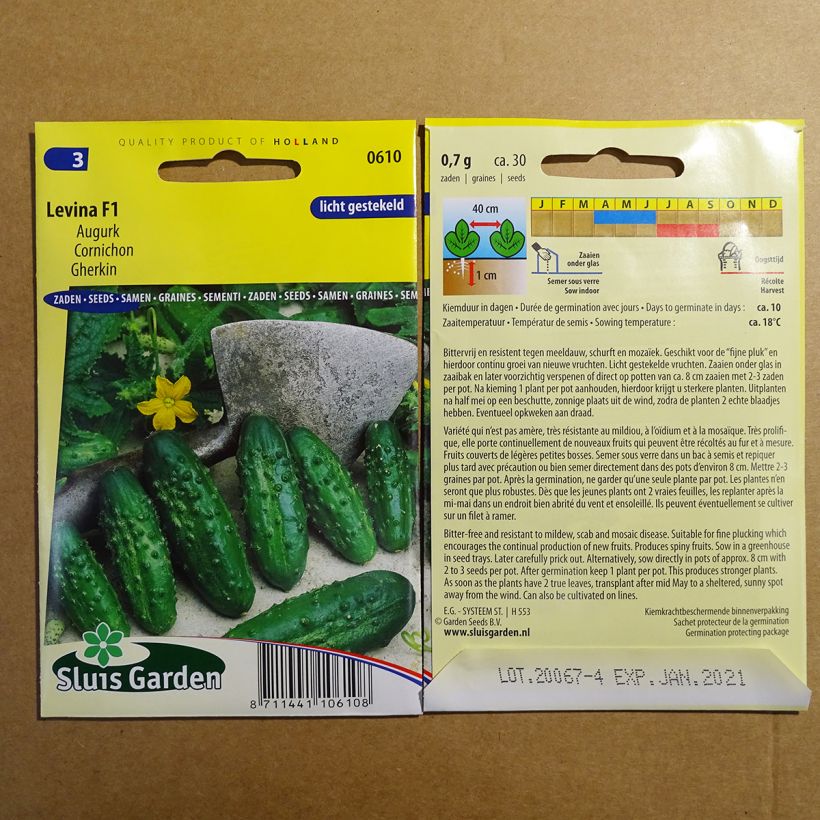 Exemplo de amostra de Cornichon Levina F1 per pack of 30 seeds tal como entregue