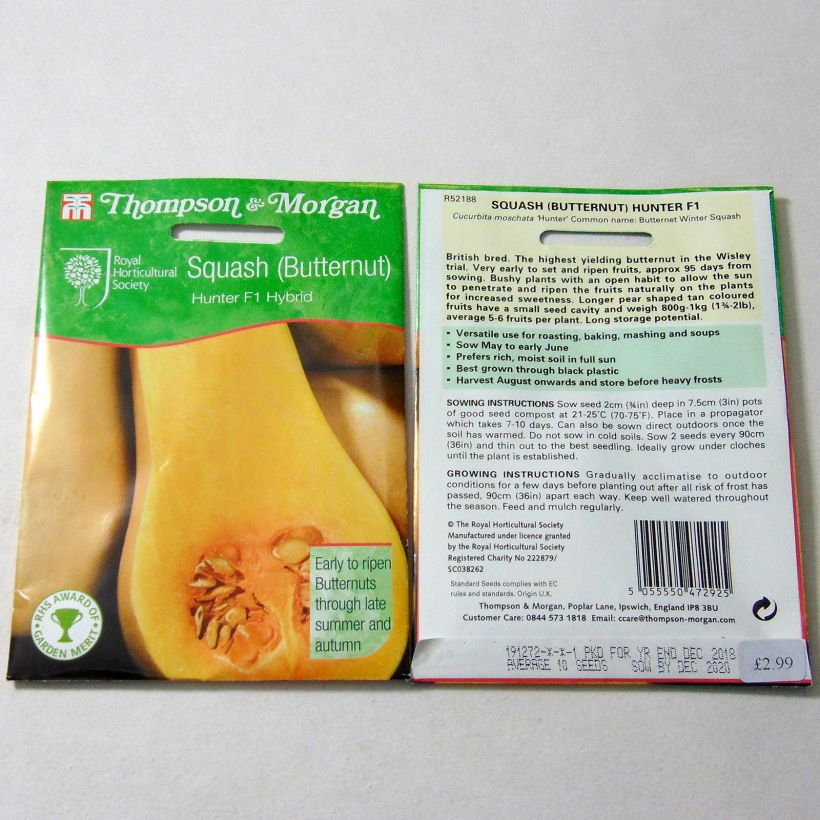 Exemplo de amostra de Courge Butternut Hunter F1 per pack of 12 seeds tal como entregue