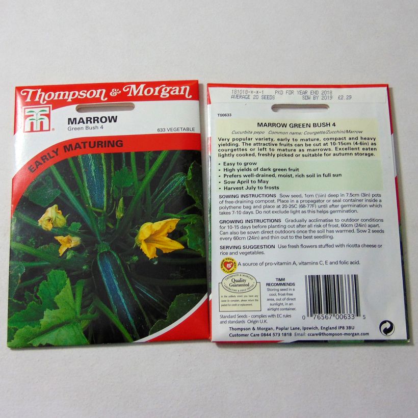 Exemplo de amostra de Courge Green Bush 4  per pack of 25 seeds tal como entregue