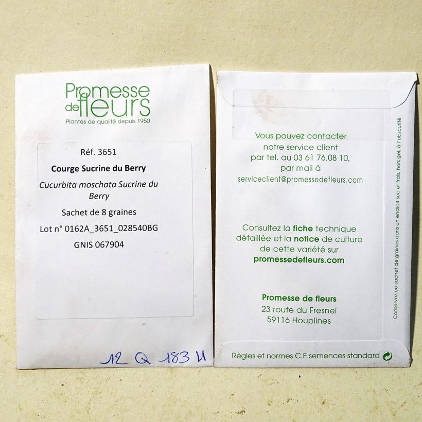 Exemplo de amostra de Courge Sucrine du Berry - Cucurbita moschata die Tüte mit 8 Samen tal como entregue