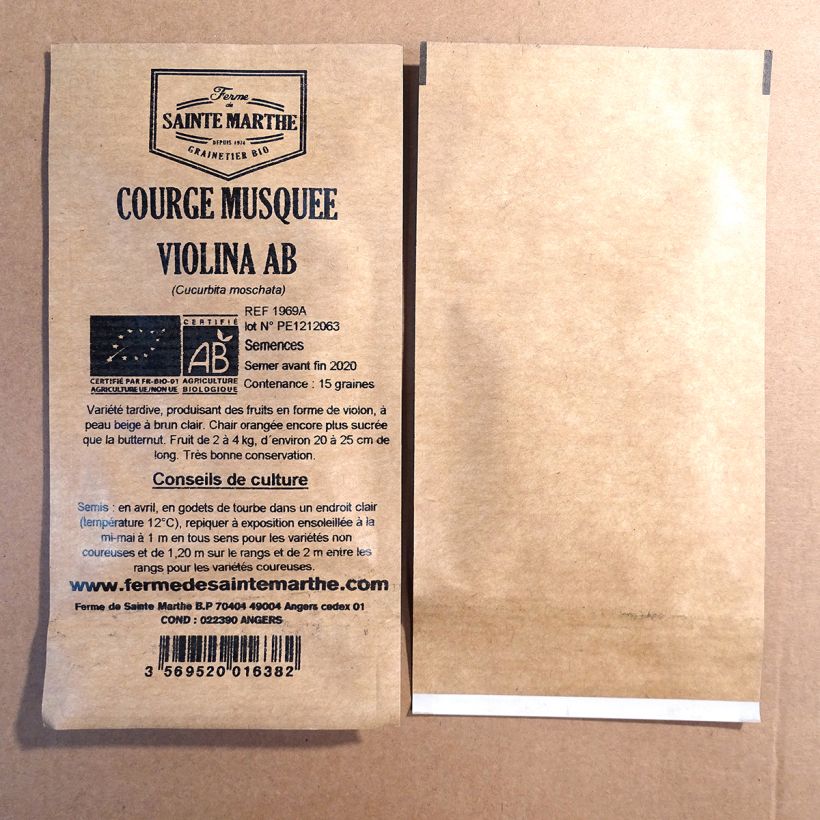 Exemplo de amostra de Courge musquée Violina bio - Ferme de Sainte Marthe per pack of 15 seeds tal como entregue