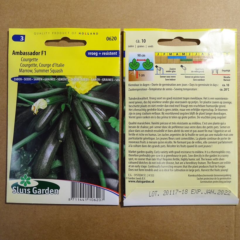 Exemplo de amostra de Courgette Ambassador F1 per pack of 10 seeds tal como entregue