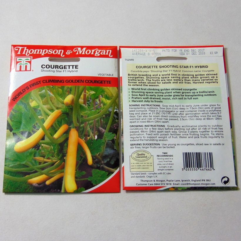 Exemplo de amostra de Courgette Shooting Star F1 per pack of 8 seeds tal como entregue