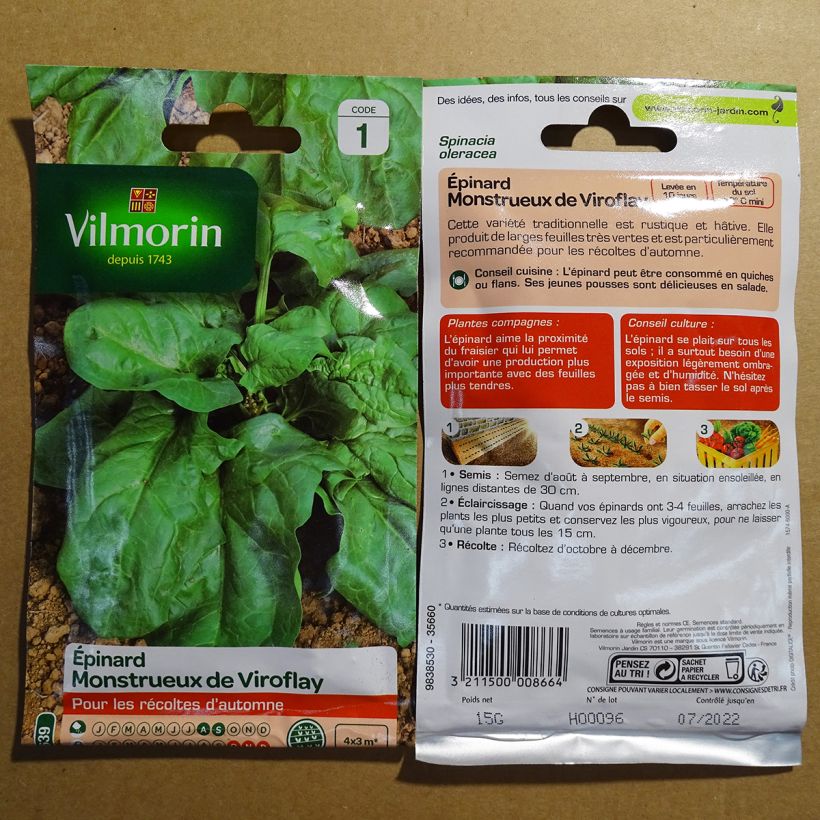 Exemplo de amostra de Epinard Monstrueux de Viroflay - Vilmorin per pack of 1500 seeds (15g) tal como entregue