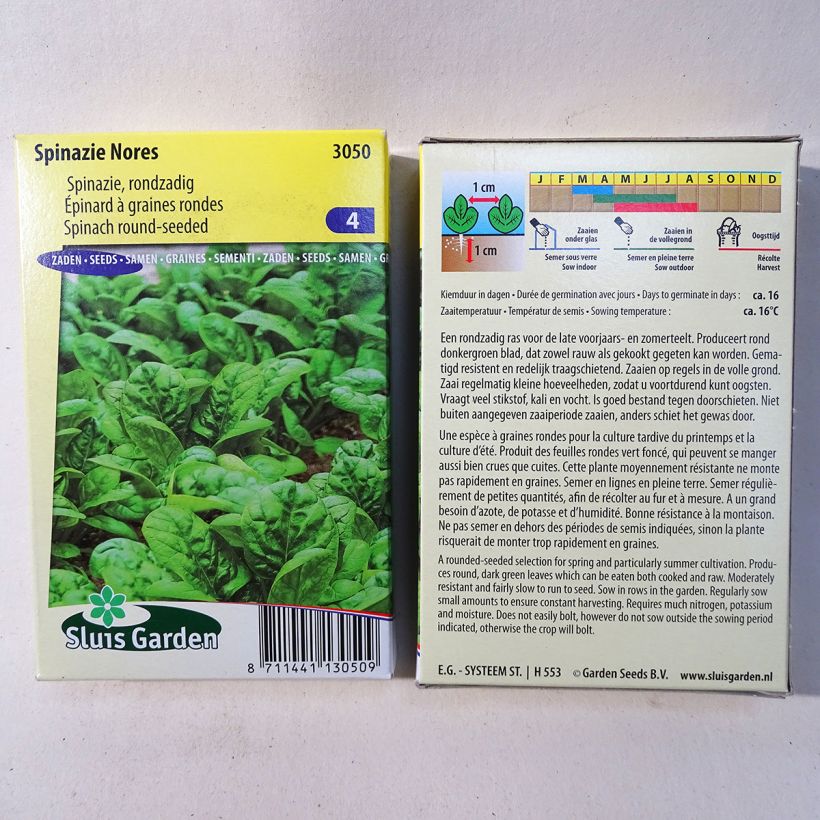 Exemplo de amostra de Epinard Nores - Spinachia oleracea die Tüte mit 900 Samen (90g) tal como entregue