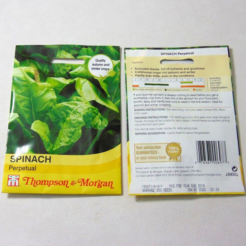 Exemplo de amostra de Epinard Perpetual per pack of 250 seeds tal como entregue