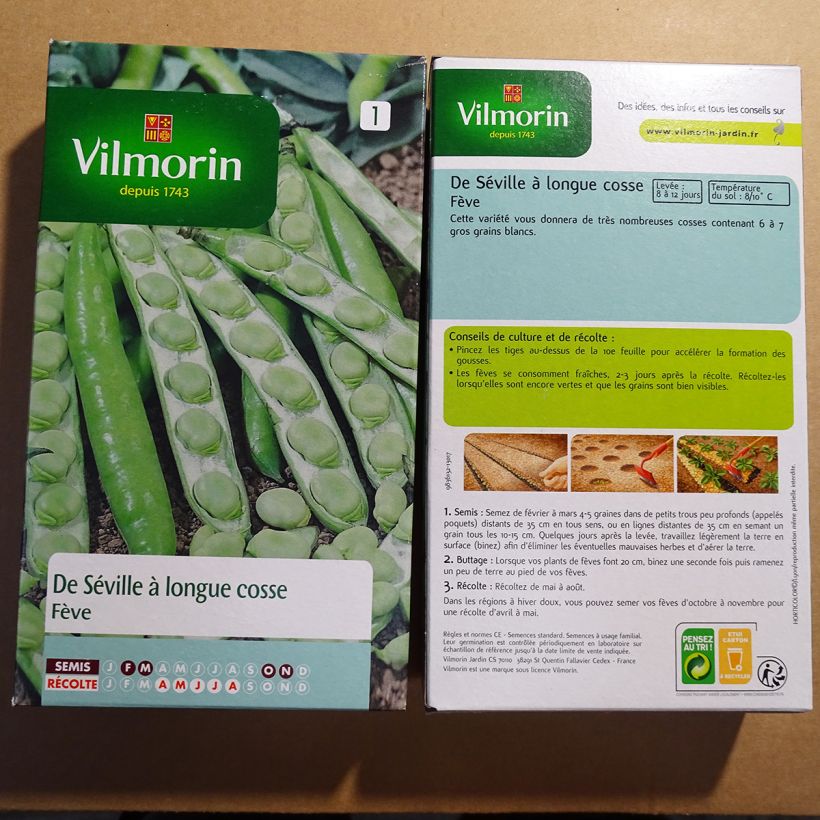 Exemplo de amostra de Fève de Séville à Longue cosse - Vilmorin die Tüte mit 125 Samen (250g) tal como entregue