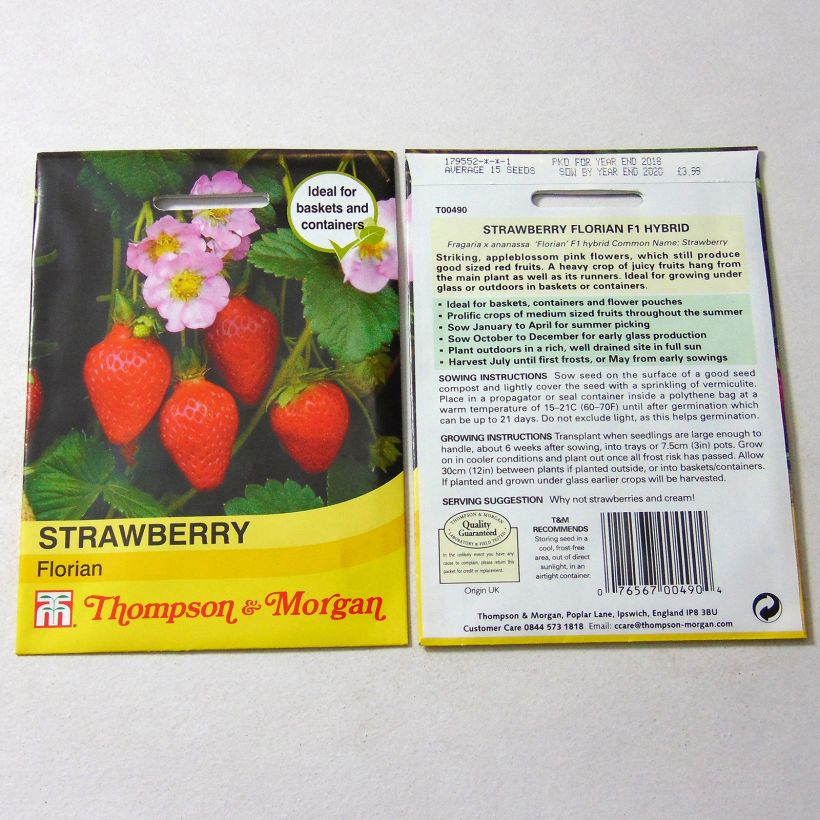 Exemplo de amostra de Fraisier Florian F1 - Fraises des jardins per pack of 15 seeds tal como entregue