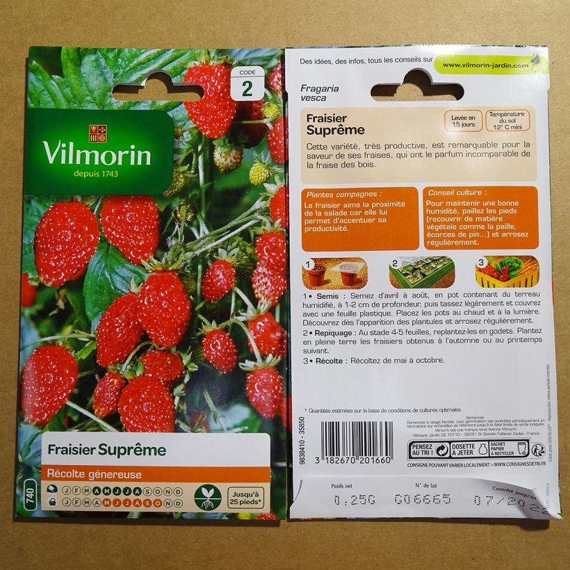 Exemplo de amostra de Fraisier des 4 saisons suprême - Vilmorin die Tüte mit Samen von 0.25 Gramm tal como entregue