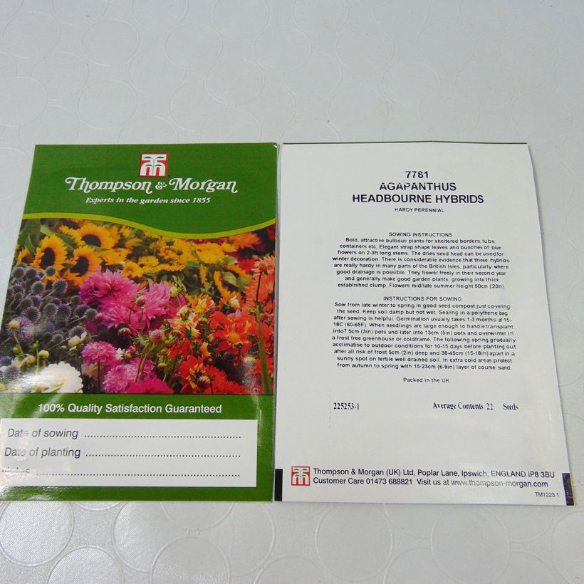 Exemplo de amostra de Graines d'Agapanthe Headbourne Hybrids per pack of 22 seeds tal como entregue