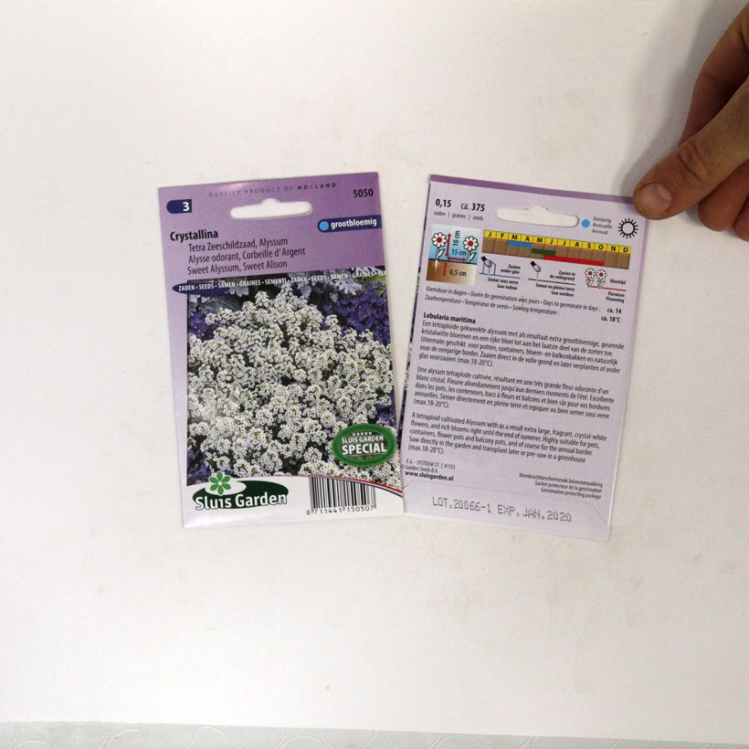 Exemplo de amostra de Graines d'Alysse odorant Crystallina - Lobularia maritima per pack of 375 seeds tal como entregue