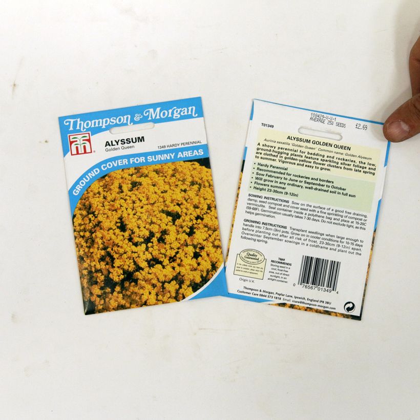 Exemplo de amostra de Graines d'Alysse saxatile Golden Queen - Corbeille d'Or die Tüte mit 450 Samen (0,5g) tal como entregue