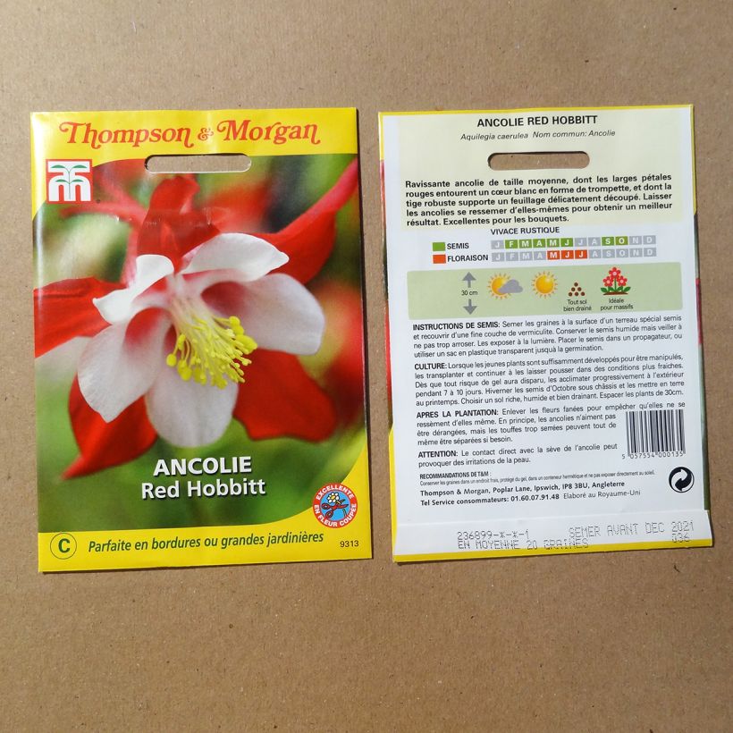 Exemplo de amostra de Graines d'Ancolie Red Hobbit - Aquilegia caerulea per pack of 20 seeds tal como entregue