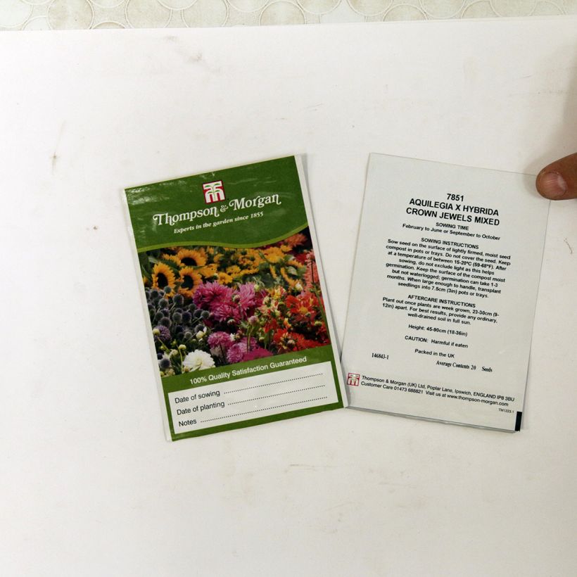 Exemplo de amostra de Graines d'Ancolie des jardins Crown Jewels Mixed - Aquilegia x hybrida per pack of 20 seeds tal como entregue