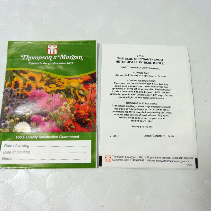 Exemplo de amostra de Graines d'Heteropappus meyendorffii Blue Knoll die Tüte mit 50 Samen tal como entregue