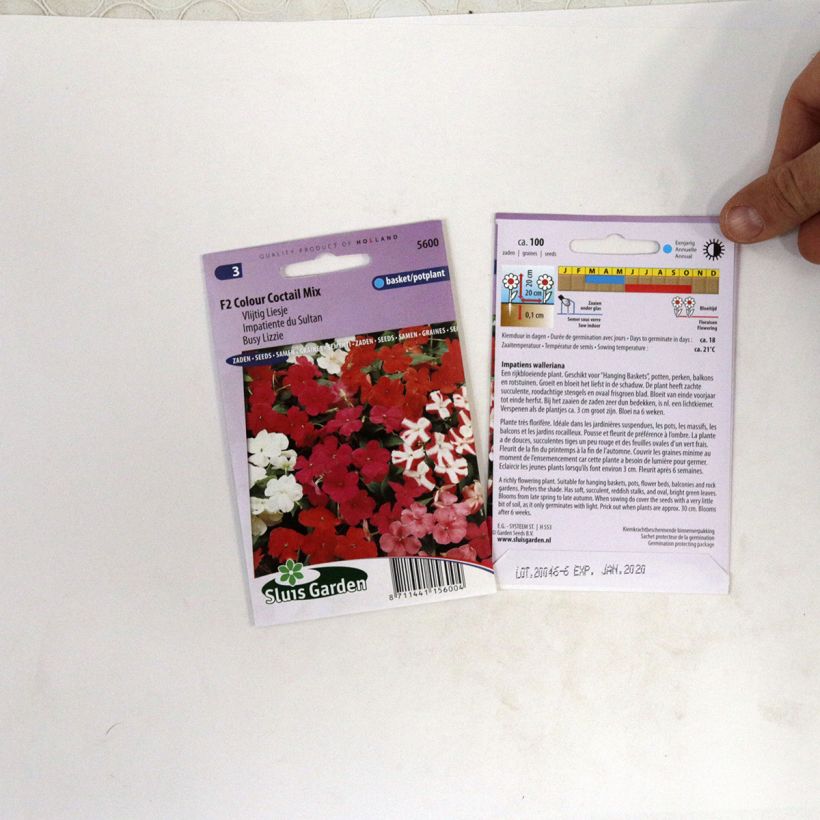 Exemplo de amostra de Graines d'Impatiens F2 Colour Cocktail en mélange - Balsamine des jardins die Tüte mit 100 Samen (0,07g) tal como entregue