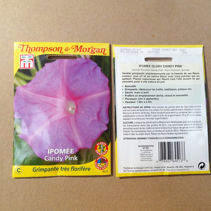 Exemplo de amostra de Graines d'Ipomée Candy Pink - Ipomoea purpurea per 1.5 g seed pack tal como entregue