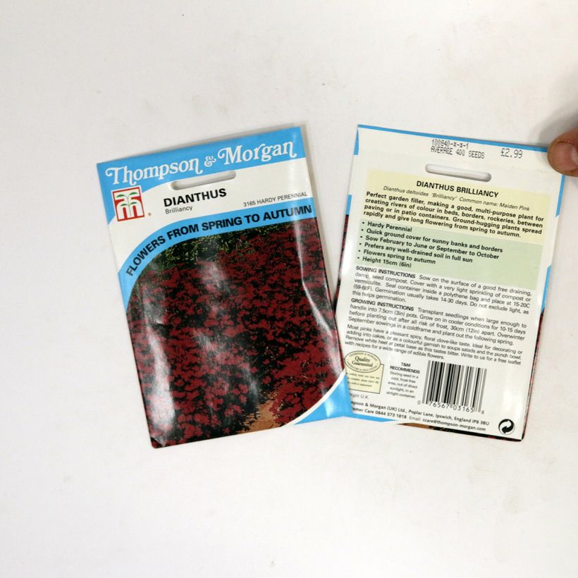 Exemplo de amostra de Graines d'Oeillet annuel Brilliancy - Dianthus deltoïdes per pack of 400 seeds tal como entregue