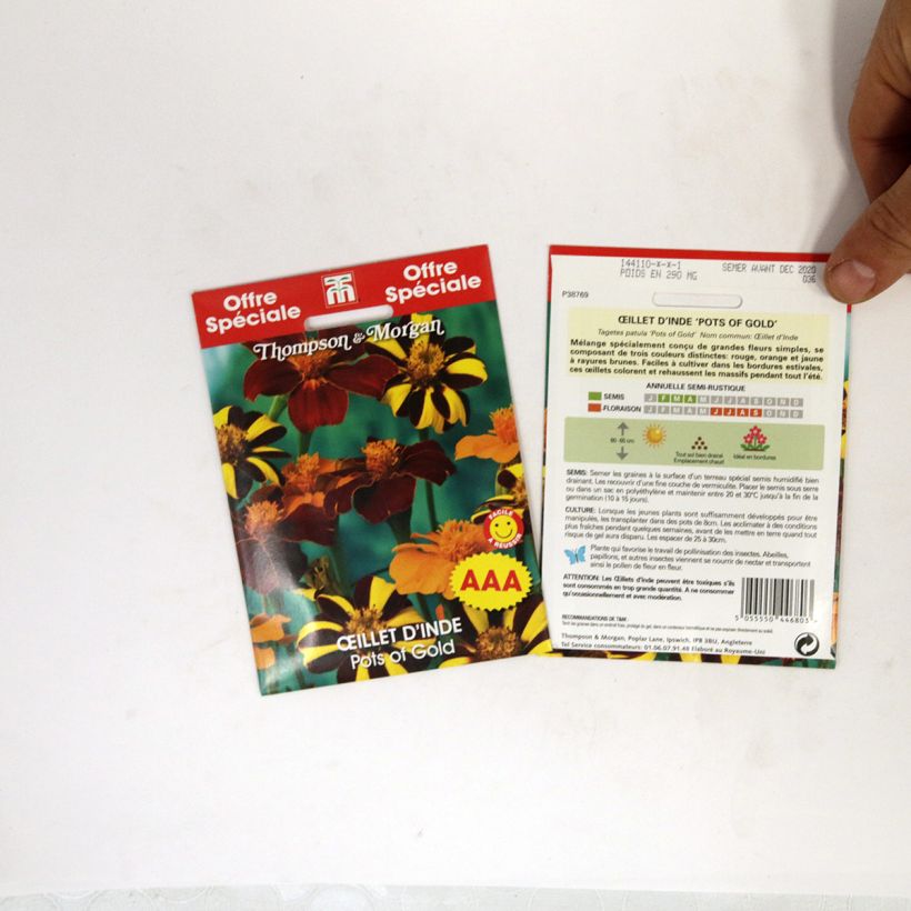 Exemplo de amostra de Graines d'Oeillet d'Inde Pots of Gold - Tagetes patula  die Tüte mit 100 Samen tal como entregue