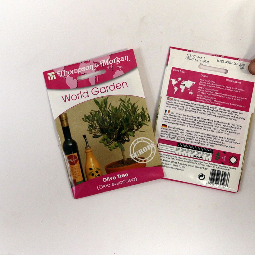 Exemplo de amostra de Graines d'Olivier - Olea europaea die Tüte mit 25 Samen tal como entregue