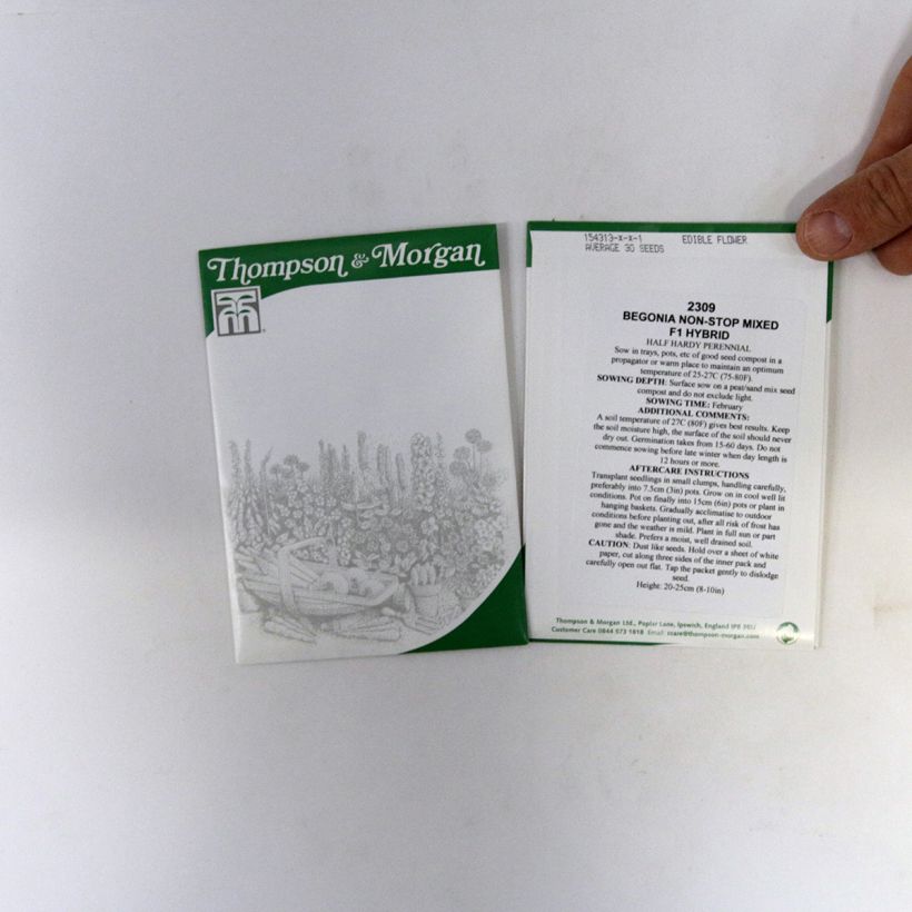 Exemplo de amostra de Graines de Bégonia tubéreux Non-Stop Mixed F1 - Begonia x tuberhybrida per pack of 40 seeds tal como entregue