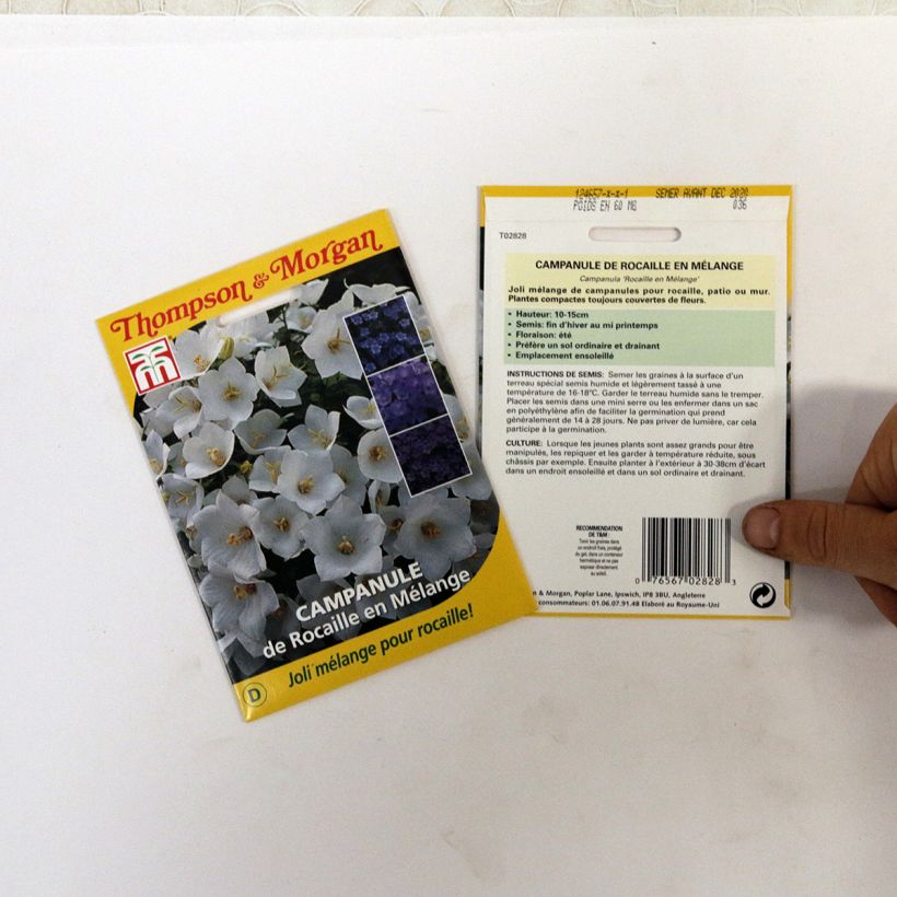 Exemplo de amostra de Graines de Campanule de Rocaille en Mélange die Tüte mit 850 Samen (0,1g) tal como entregue