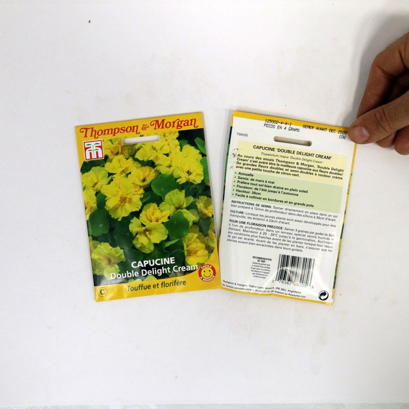 Exemplo de amostra de Graines de Capucine naine Double Delight Cream - Tropaeolum majus die Tüte mit 3 Samen tal como entregue