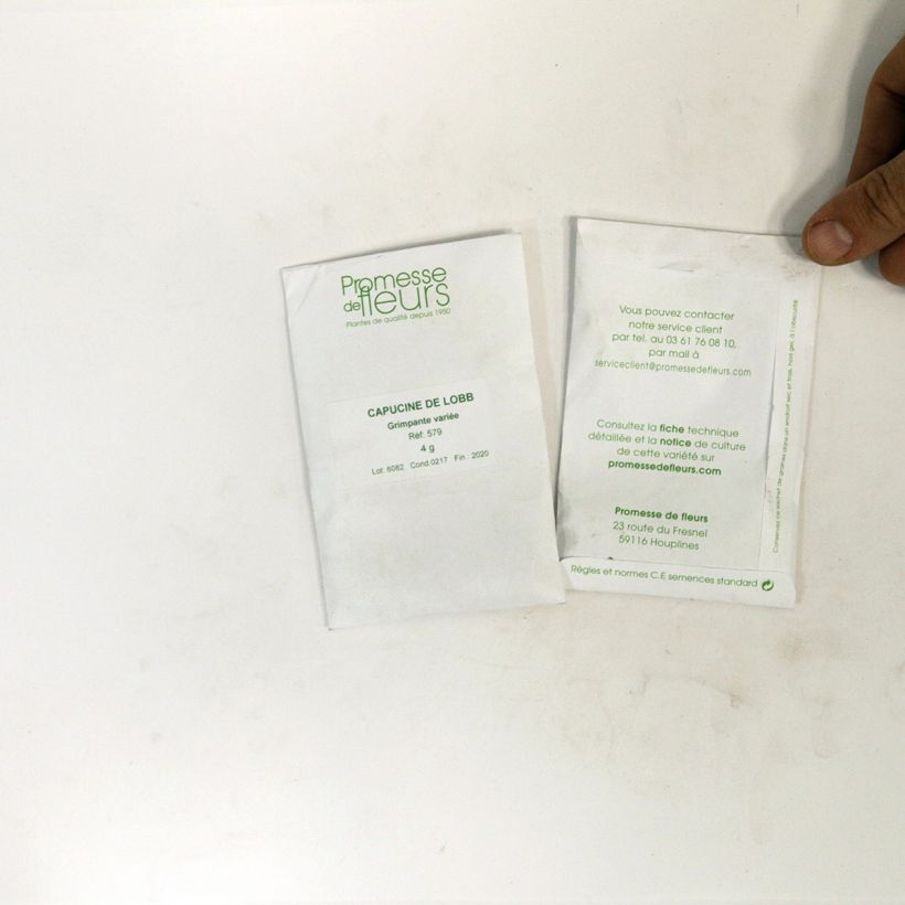 Exemplo de amostra de Capuchinha Gleam em sementes o saco de 35 sementes aproximadamente (5g) tal como entregue