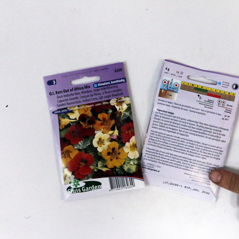 Exemplo de amostra de Graines de Capucine grimpante à fleurs simples Out Of Africa - Tropaeolum majus die Tüte mit 32 Samen tal como entregue