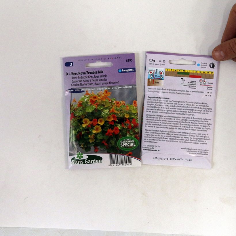 Exemplo de amostra de Graines de Capucine naine Nova Zembla - Tropaeolum majus die Tüte mit 20 Samen tal como entregue