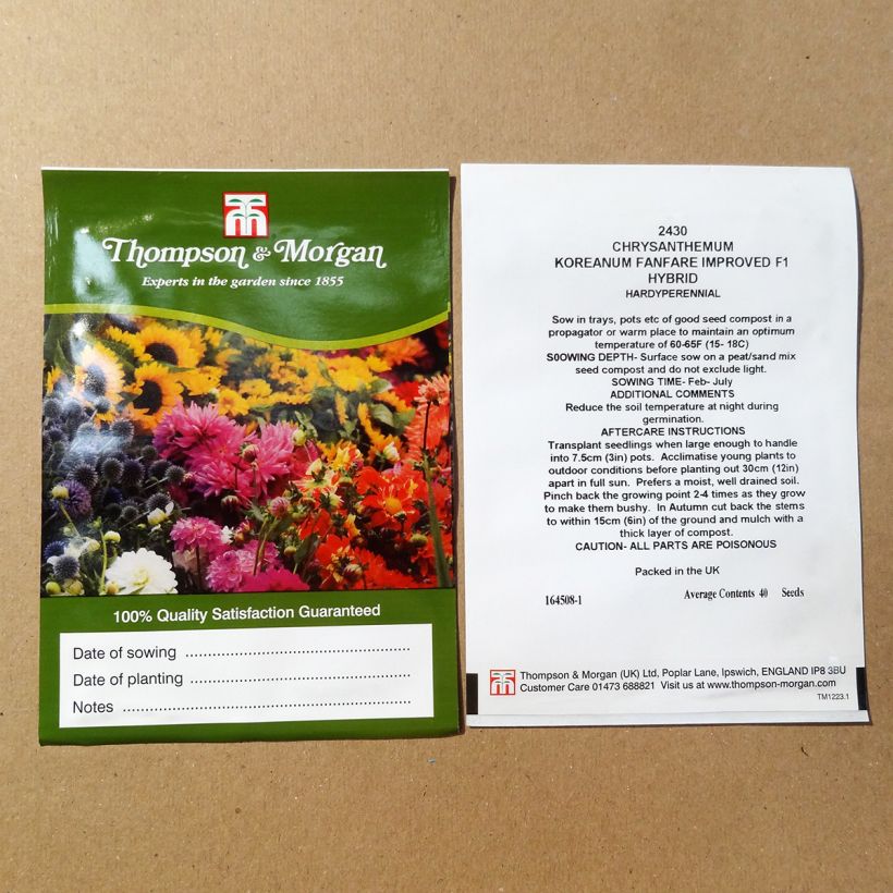 Exemplo de amostra de Chrysanthemum morifolium Fanfare Improved F1 em sementes o saco de 200 sementes aproximadamente (0,1g) tal como entregue
