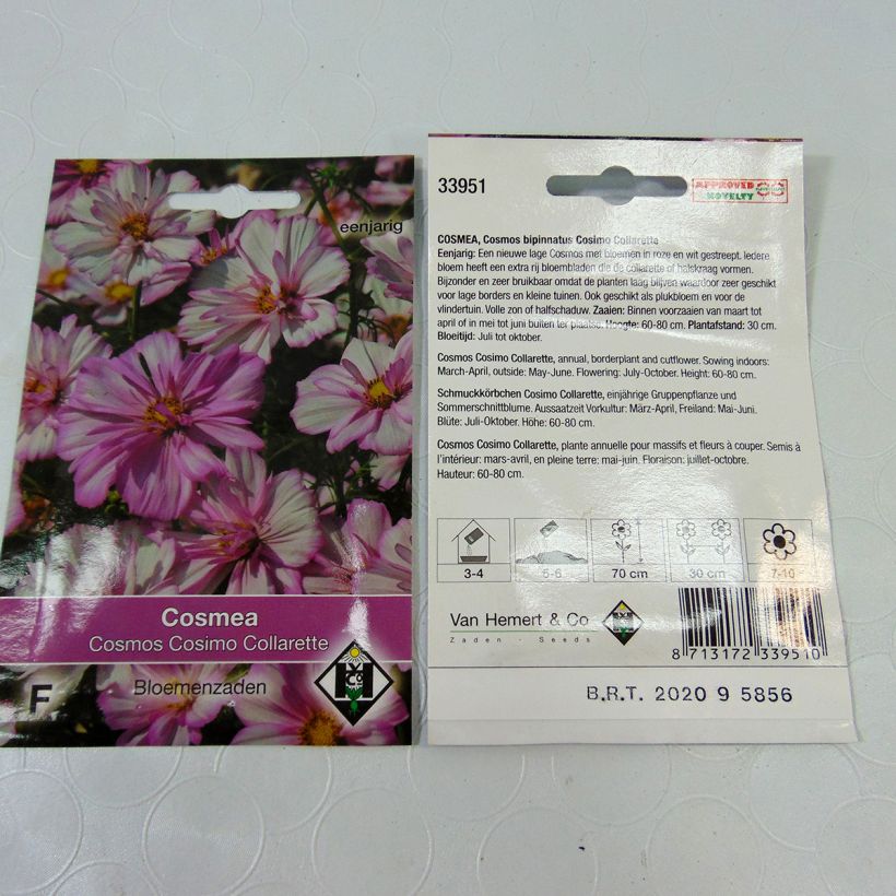 Exemplo de amostra de Graines de Cosmos Cosimo Collarette - Cosmos bipinnatus per pack of 60 seeds (0.5g) tal como entregue