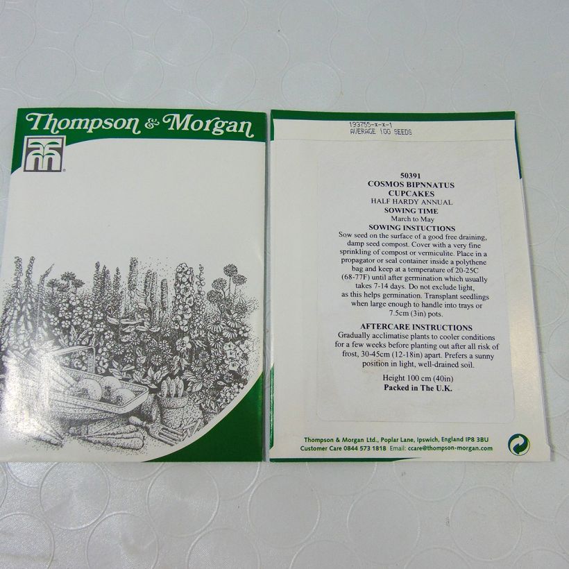 Exemplo de amostra de Cosmea Cupcakes em sementes o saco de 100 sementes aproximadamente (1g) tal como entregue