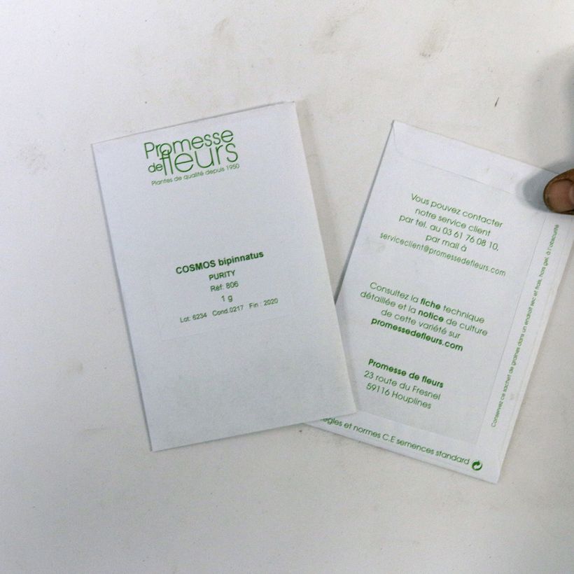 Exemplo de amostra de Graines de Cosmos Sensation Purity - Cosmos bipinnatus per pack of 150 seeds (1g) tal como entregue