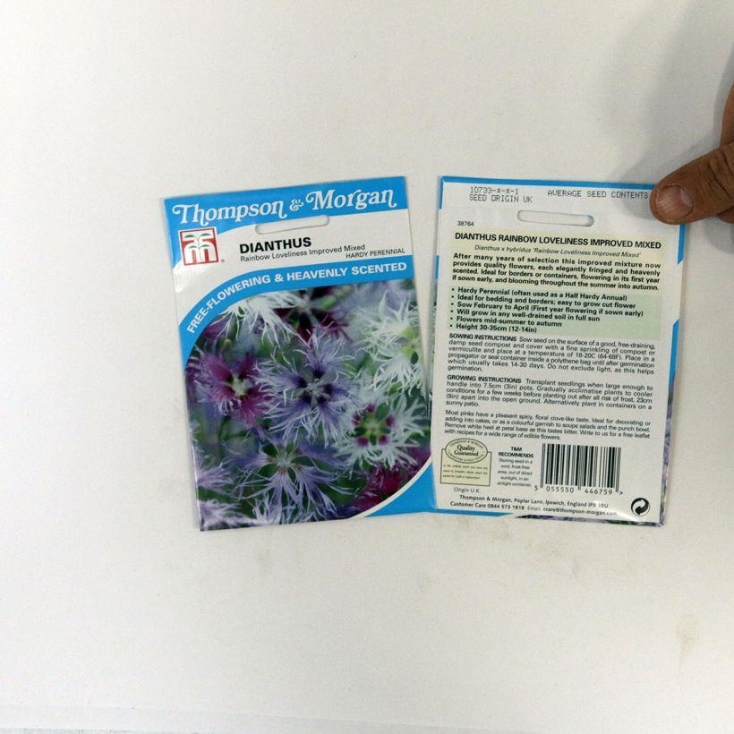 Exemplo de amostra de Graines de d'Oeillet commun en mélange Rainbow Loveliness Improved Mixed  die Tüte mit 30 Samen tal como entregue