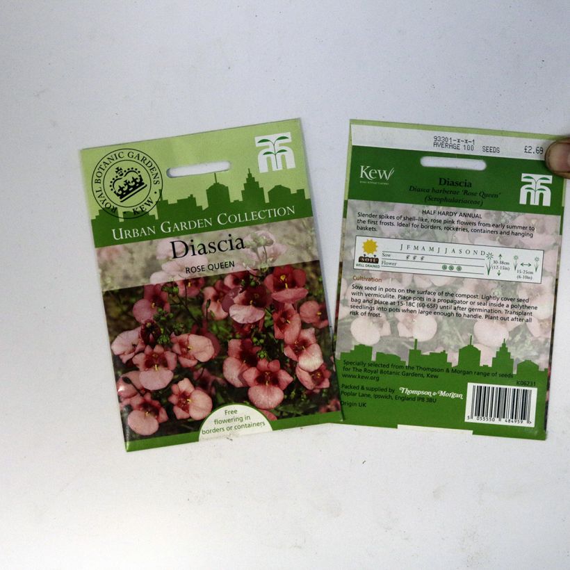 Exemplo de amostra de Graines de Diascia barberae Rose Queen - Diascie rose per pack of 550 seeds (0,15g) tal como entregue